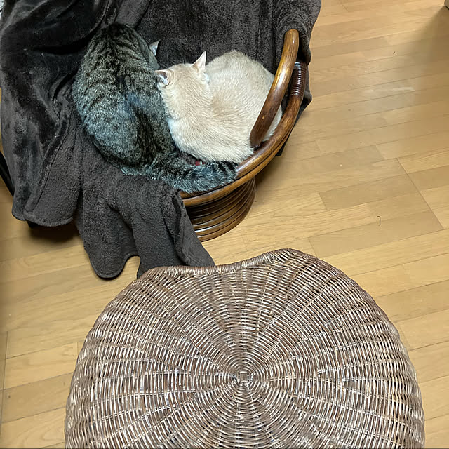 mikan161さんの実例写真