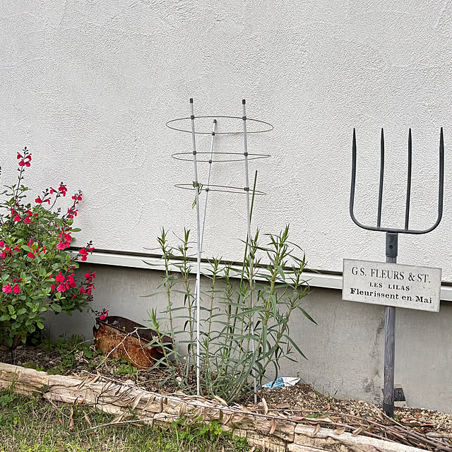 mami3さんの部屋