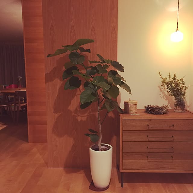 nonさんの実例写真
