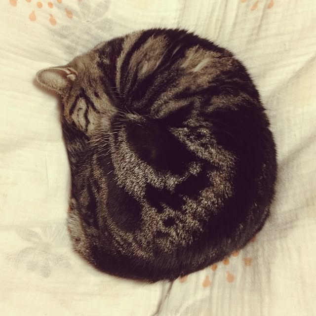 kanade0322さんの実例写真