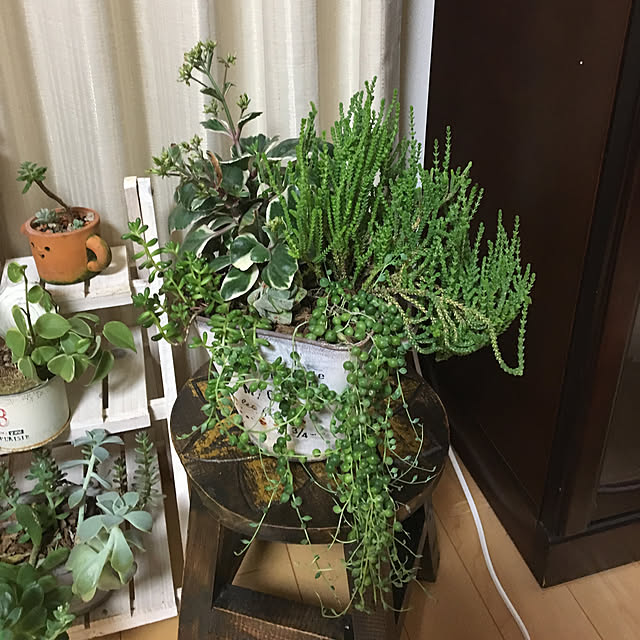 sanw2225719さんの実例写真