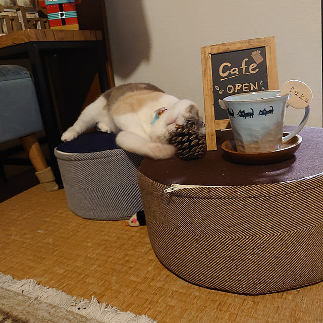fukuさんの実例写真