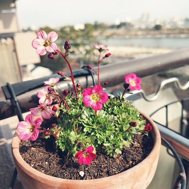 hopkeiさんの実例写真