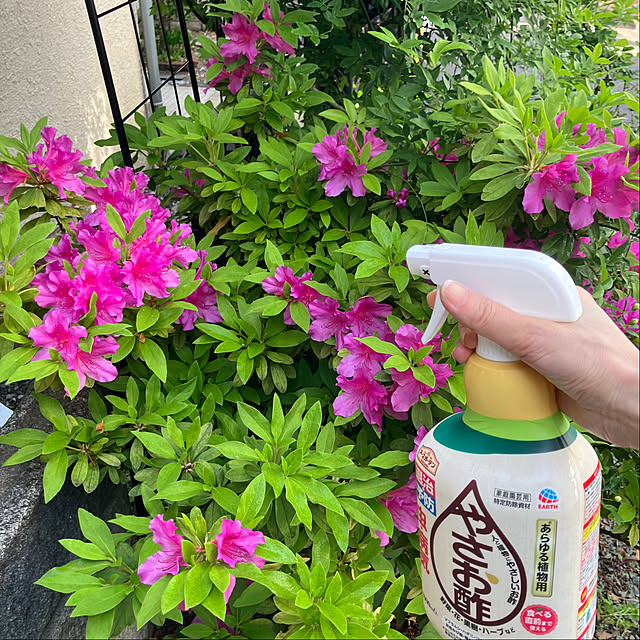 akanekoさんの実例写真