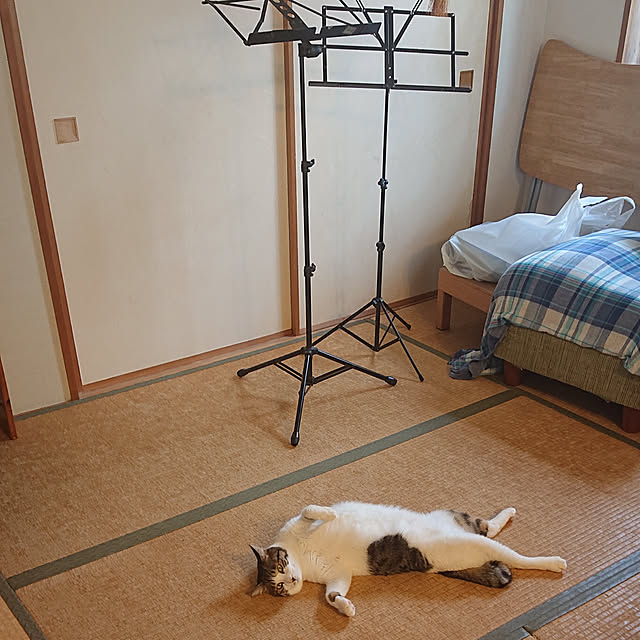 okyosan101さんの実例写真