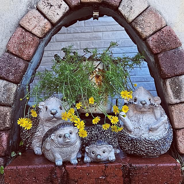 mocomocoさんの部屋