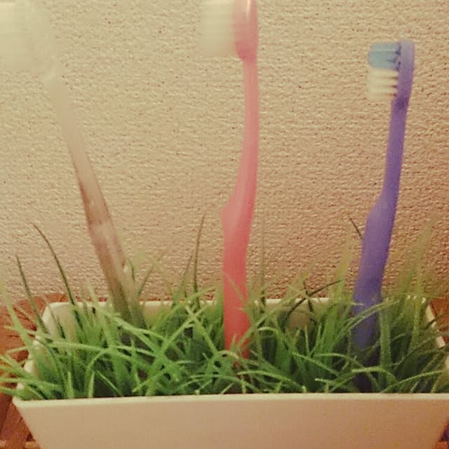 chayさんの実例写真