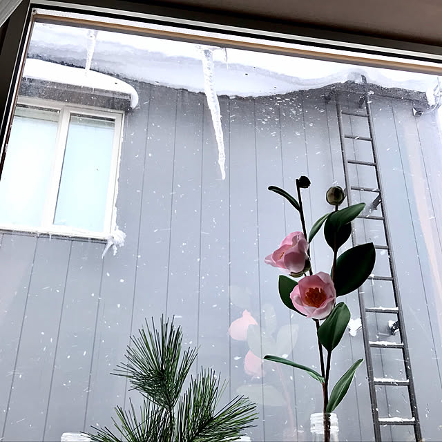 kazさんの実例写真