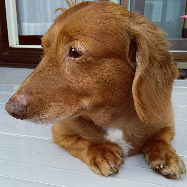 satoさんの実例写真