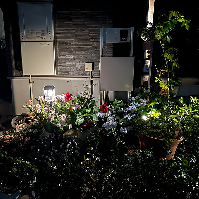 coraruさんの部屋