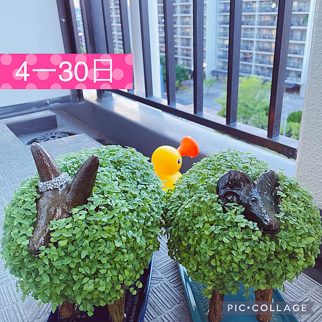 aureaさんの実例写真