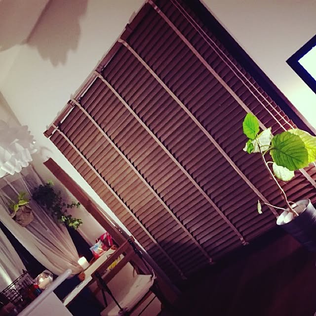部屋全体/観葉植物/一人暮らし/照明/キャンドル...などのインテリア実例 - 2015-07-14 02:50:51