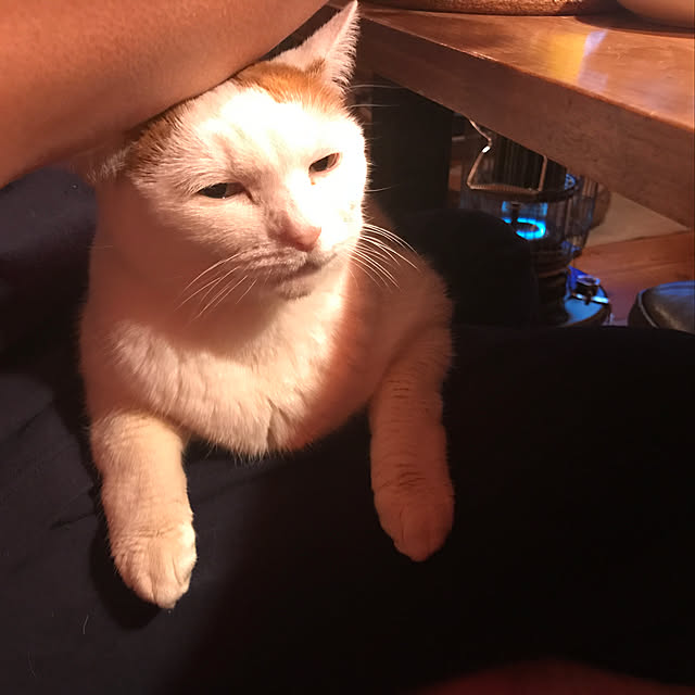 sakurasakuさんの実例写真