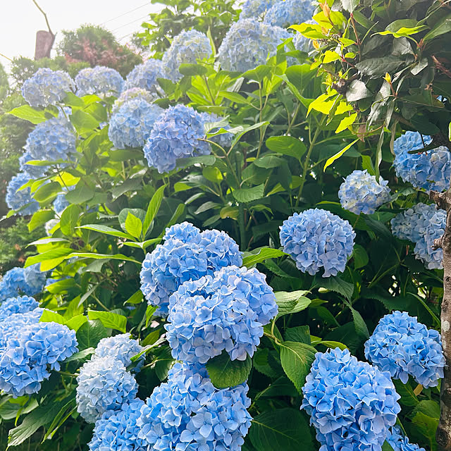 sunabaさんの実例写真