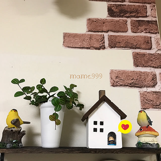 mame.999さんの実例写真