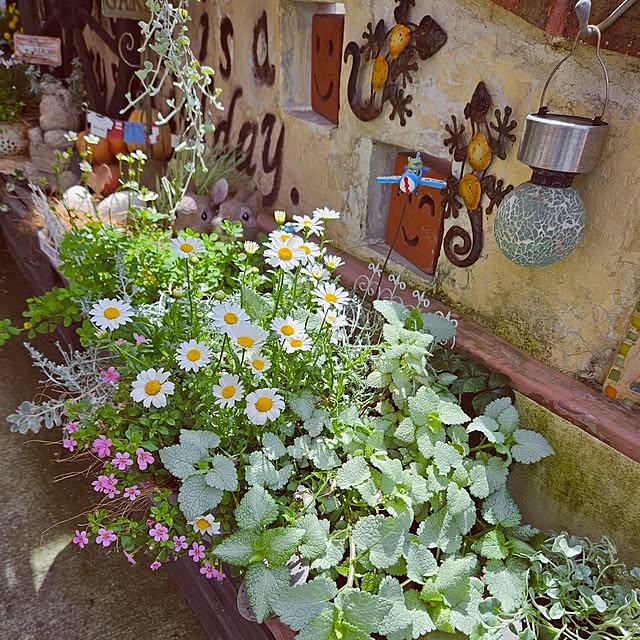 mocomocoさんの部屋