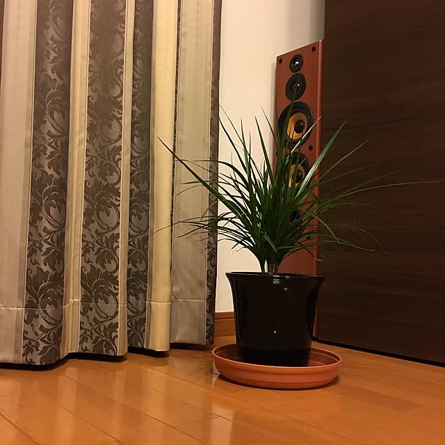 shirkさんの実例写真