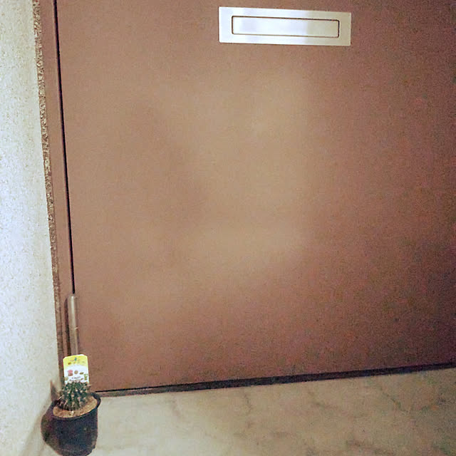 Habneroさんの実例写真