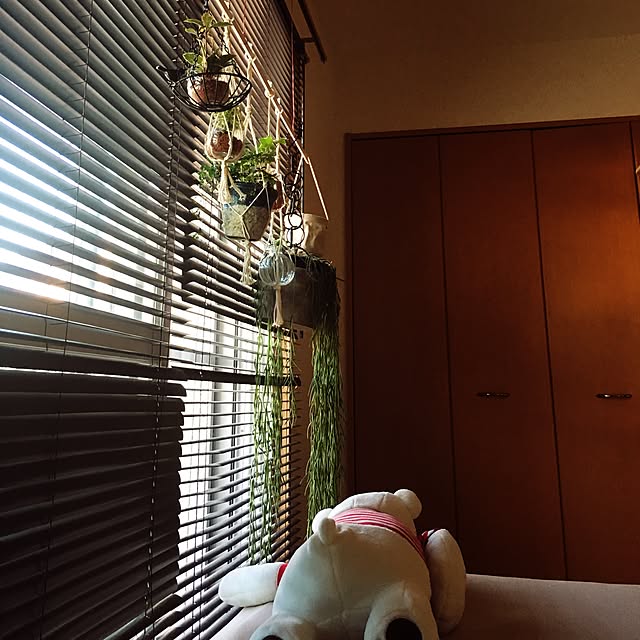 sadaさんの実例写真