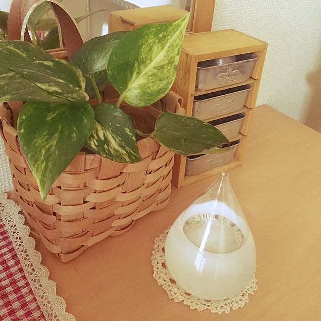 ベッド周り/観葉植物/雑貨/100均のインテリア実例 - 2016-05-28 12:17:48