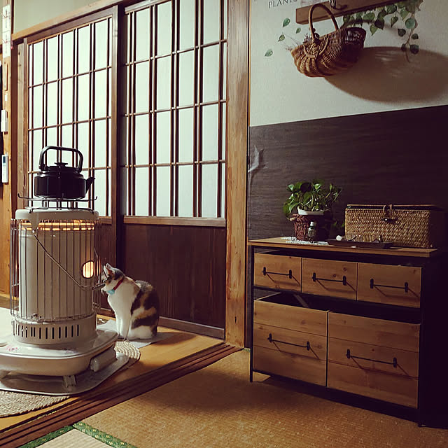fukuさんの実例写真