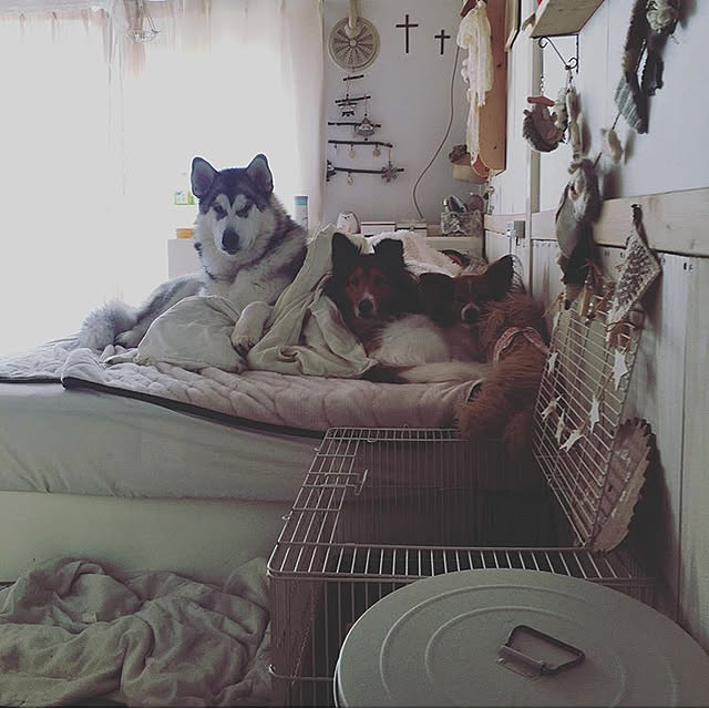 miiさんの実例写真