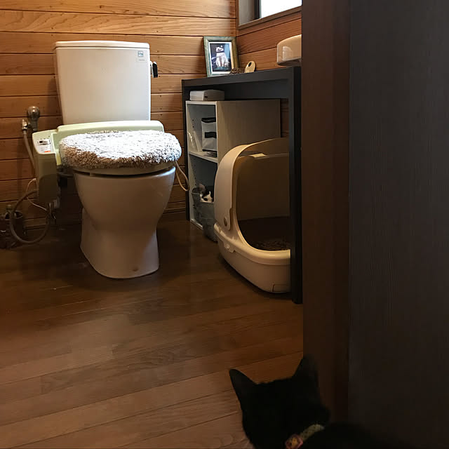 miseiさんの実例写真