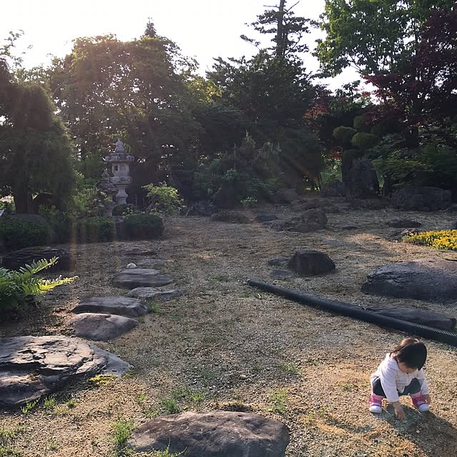 yu_riさんの実例写真