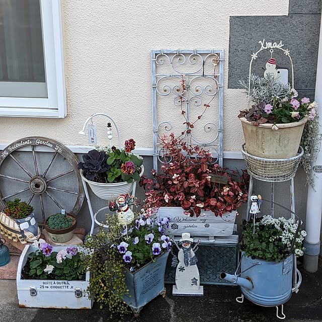 purpureさんの部屋