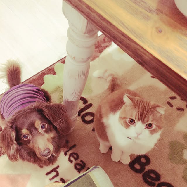 hitoさんの実例写真
