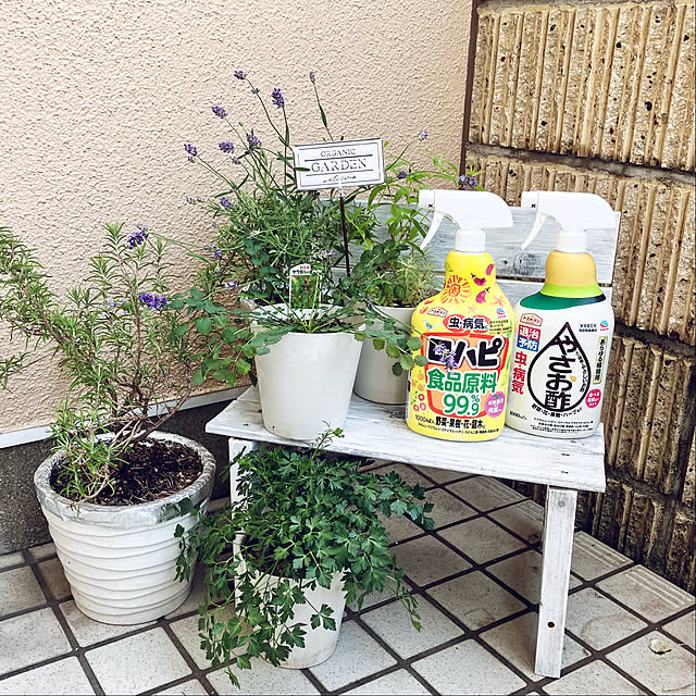 tararaさんの実例写真