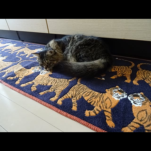 sachiblancさんの実例写真