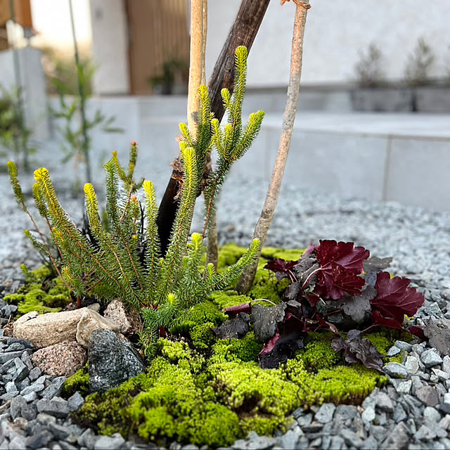 hira_muji_mihiさんの実例写真