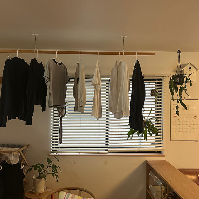 壁/天井/観葉植物のある暮らし/観葉植物/DIY リメイク/DIY...などのインテリア実例 - 2025-04-01 07:17:11