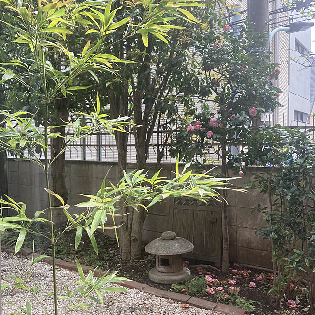 実例写真