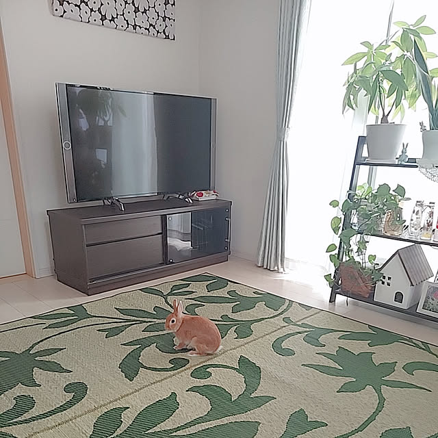 aikkoさんの実例写真