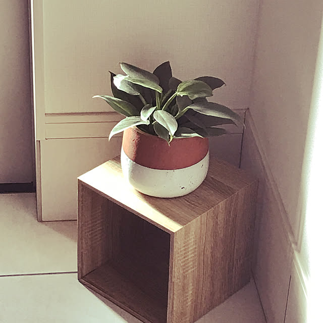 ナチュラル/雑貨/観葉植物/ホワイトインテリア/カフェ風...などのインテリア実例 - 2021-01-20 14:51:27