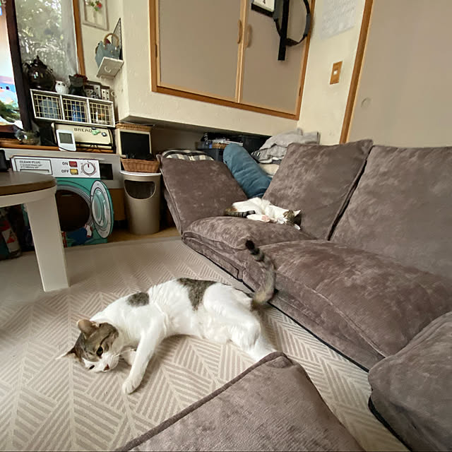 Lufuさんの実例写真