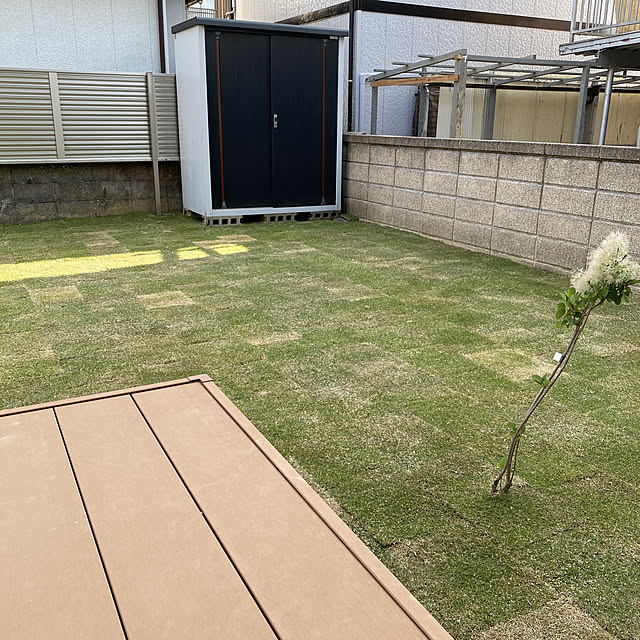 Mentanさんの実例写真