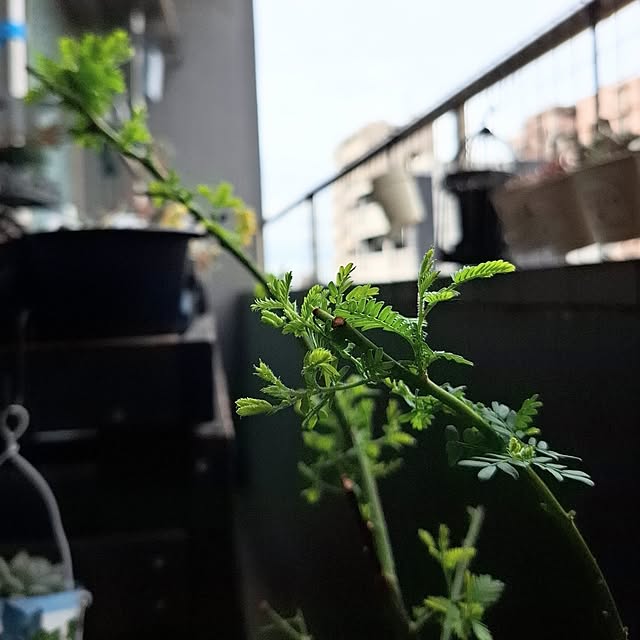 noaさんの部屋