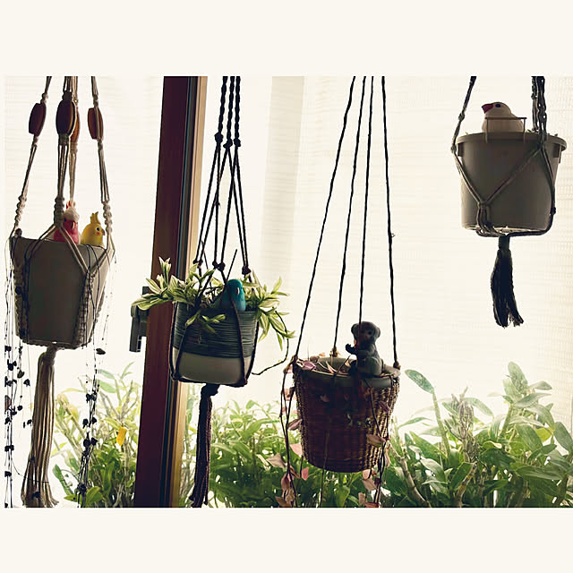 CoCo0617さんの部屋