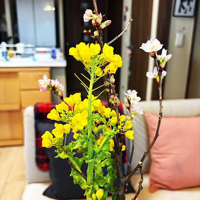 OMAMEさんの部屋