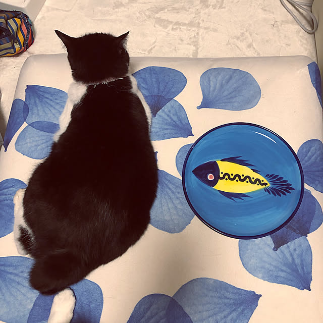 mikenekoさんの実例写真