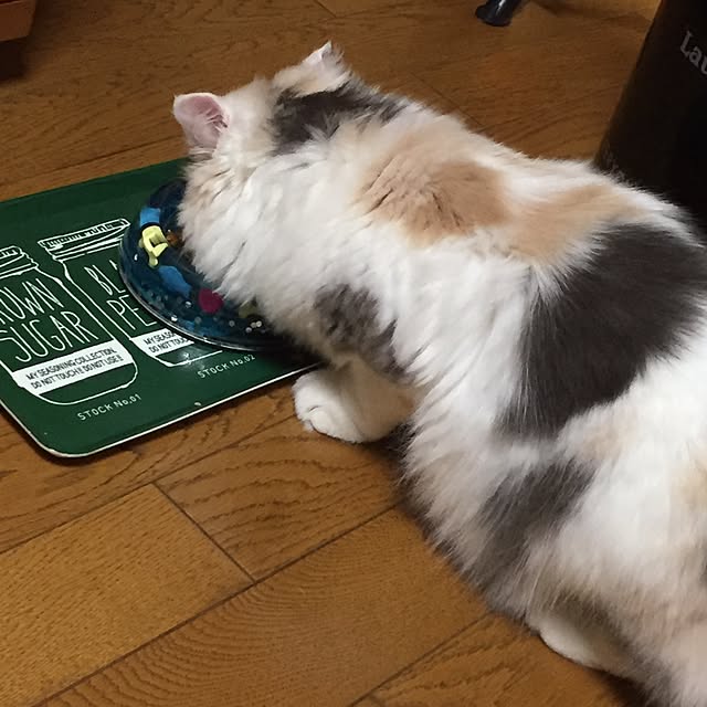 keibooさんの実例写真