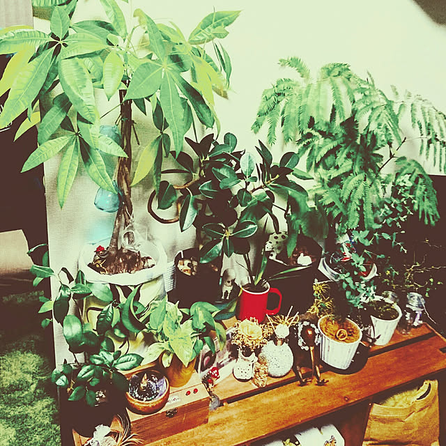 s.p.sunaoさんの実例写真