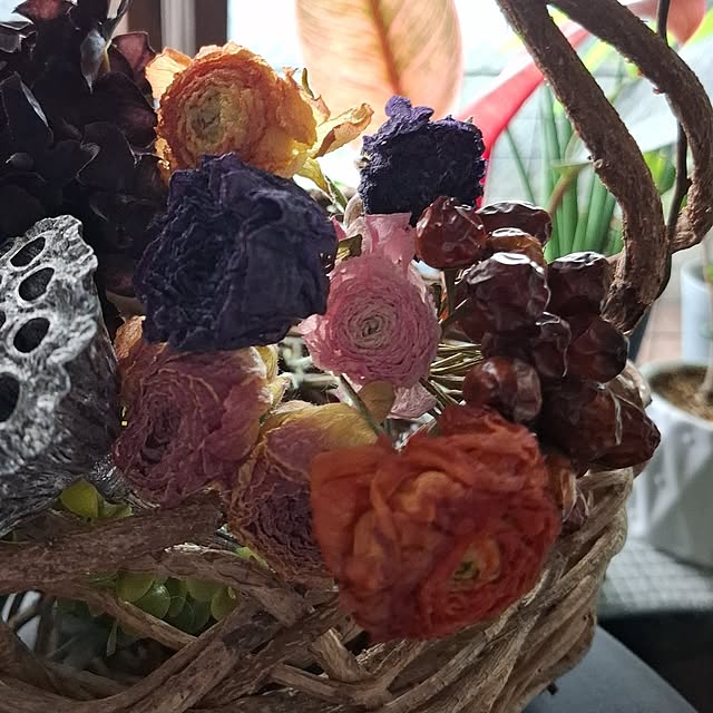 noaさんの部屋