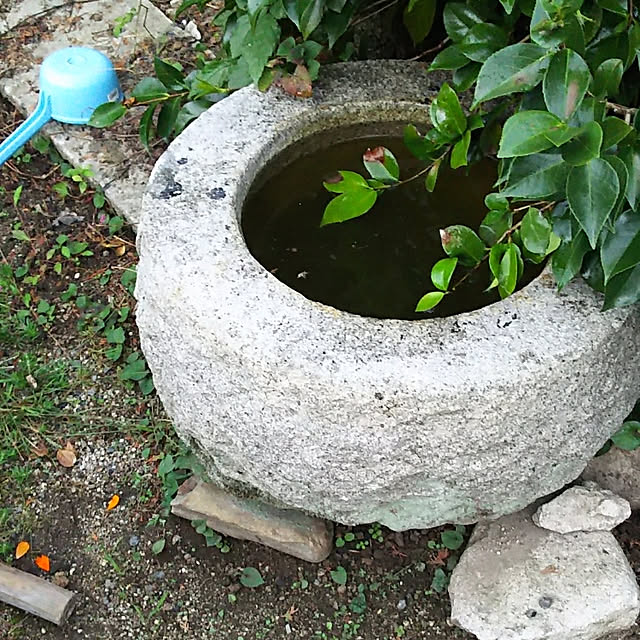 ringarintonさんの実例写真