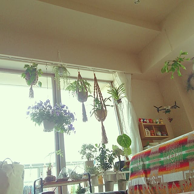 abeさんの実例写真
