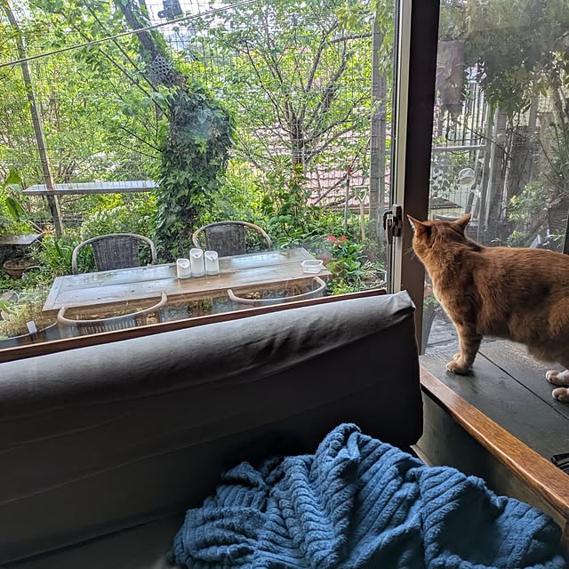 ayuさんの部屋