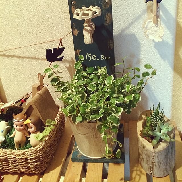 michiyo.さんの実例写真